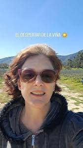 Em entrevista a @james.suckling, Derek Mossman da @garagewineco fala sobre  vinhedos antigos das regiões do Maule e Itata — e ainda traz uma  curiosidade incrível sobre a viticultura do Chile!