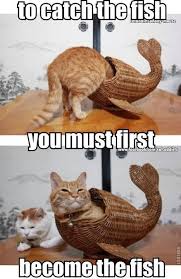 To Catch The Fish You Must First Become The Fish Funny Memes Meme Humor Funny Memes Animal Memes Cat Mem Funny Animal Pictures Cute Animal Memes Funny Animals