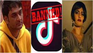 They Tried To Put Me On The Cover Of Vogue Tik Tok Song Tik Tok Ban Vikas Gupta Brutally Slams Sacred Games Star Cuckoo Aka Kubra Sait For A Shocking Reason Catch News