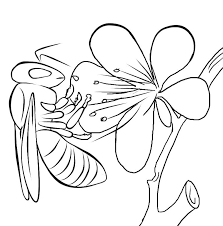 Free printable bumble bee coloring pages for kids. Free Printable Bee Coloring Pages For Kids