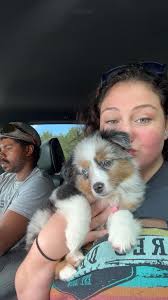 Ember loves her Lamby🥰