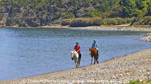 We did not find results for: Boreia Eyboia Ippasia Sto Psaropoyli Kai To Artemisio