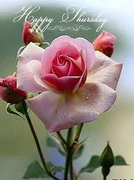 Funny ~ Good Morning ~ Images ~ Quotes