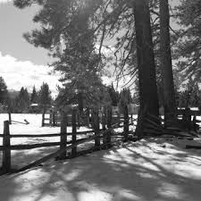 JOHN PELTIER PHOTOGRAPHY