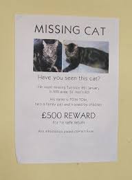Missing cat poster 31282 gifs. Guy Finds Lost Cat Brings It To Its Owners Asks For 500 Promised Reward Gets Sneered At And Judged Bored Panda