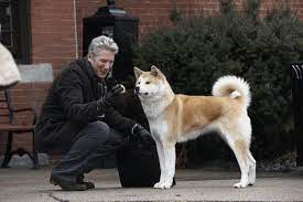 Hachiko Dog Movies A Dog S Tale Akita Dog