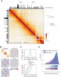Download older versions of uc browser for android. Cohesin Residency Determines Chromatin Loop Patterns Biorxiv