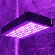 En je dagelijkse ochtendroutine zoals tandenpoets, douchen en scheren gaat een stuk makkelijker met de juiste. Die 3 Besten Led Grow Lampe Fur Hanf Pflanzenlampe Net