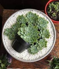 Maybe you would like to learn more about one of these? Stacy Trinchillo Stacytrinchillo Profilo Pinterest
