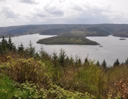 Die rurtalsperre schwammenauel mit einem fassungsvermögen von 205 mio cbm ist eine der größten talsperren deutschlands. Rursee Gps Wanderatlas