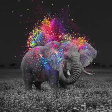 Colorful Elephant Wallpapers Top Free Colorful Elephant Backgrounds Wallpaperaccess Boho wallpaper wallpaper art mandala design fractal art lock screen wallpaper iphone beautiful wallpapers iphone wallpaper mandala wallpaper. colorful elephant wallpapers top free