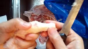 The wonderful thing about cleaning your chicken coop is that if you do it a few times a year, or better yet, once a month, it'll take no time at all! How To Clean Chicken Feet Before Cooking Video Dailymotion