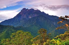 Download now butterfly cameron highlands malaysia by asmallworld. The Flora And Fauna You Can Find On Gunung Kinabalu Lifestyle Rojak Daily