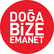 Üsküp devlet tiyatrosu'nda oyunculuk eğitimi aldı. Sabina Toziya Oldu Mu Sabina Toziya Kimdir Nereli Ve Kac Yasinda Sabina Toziya Neden Oldu