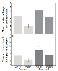 Mantar hastalığı olan mukormikoz, vücuda girdiği anda en hızlı yayılan virüslerden biridir. A Visual Guide For Studying Behavioral Defenses To Pathogen Attacks In Leaf Cutting Ants Protocol Translated To Turkish