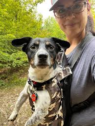 What to do for a sore lower back?