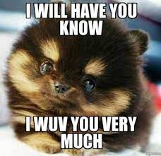 Pin On Cute Animals