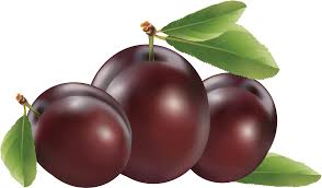 download plum png image for free download plum png image for free