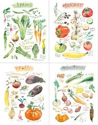 seasonal vegetable print set 4 seasons wall art watercolor etsy vegetable prints seasons art food illustrations