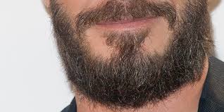 Curare la barba lunga con 4 prodotti naturali. Indovinate A Chi Non Piace Questa Moda Della Barba Il Post
