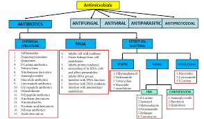 Image result for Antimicrobial Agent