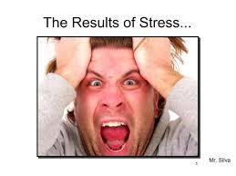 3.2 the results of stress