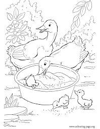 The spruce / miguel co these thanksgiving coloring pages can be printed off in minutes, making them a quick activ. Duckling Coloring Pages Coloring Home