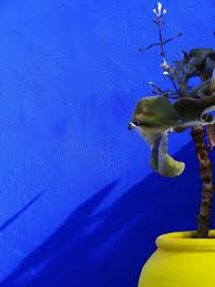 Bleu Majorelle Des Gouts Et Des Couleurs Jardin Majorelle Peinture Interieur Maison Bleu