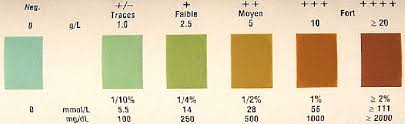 Alcohol And Hypoglycemia In Diabetes Diastix Color Chart