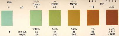 alcohol and hypoglycemia in diabetes diastix color chart