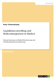 In den letzten jahren gab es deutliche fortschritte. Liquiditatscontrolling Und Risikomanagement In Banken Buch Kartoniert Peter Schmunkamp