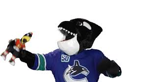 Welcome to my minimalist mascot art series. Fin Sticker By Vancouver Canucks For Ios Android Giphy