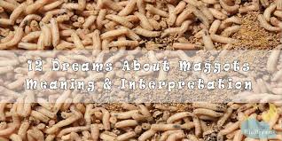 Pin On Dream Interpretation