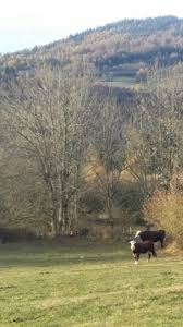Epingle Par Carine Milhau Sur Lozere Margeride Lozere Photos