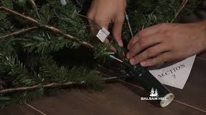 How To Troubleshoot An Unlit Section Of Your Easy Plug Christmas Tree Youtube