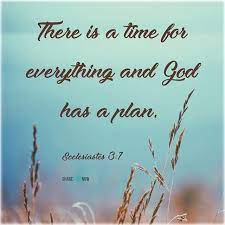 Pin On Bible Verses