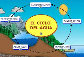 Magnifico cuaderno interactivo ciclo del agua. Informacion Del Ciclo Del Agua Para Ninos