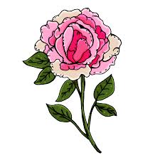 80 nuevas imagenes de mandalas de flores descarga 2020. Peonias Hermosas Flores Dibujo Manual Primavera Un Conjunto De Plantas Para Postales Portadas Imprimir En Ropa Ilustraciones Vectoriales Clip Art Vectorizado Libre De Derechos Image 96927119