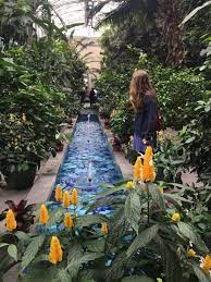 pin by bella danforth on aesthetic united states botanic garden pretty plants botanical