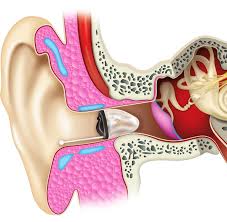 Pedophile gained trust inside school