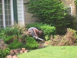 How To Remove Large Bushes In An Hour Front Yard Landscaping Front Yard Flowers Front Yard