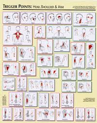 trigger points chart 2 legge