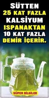 Sutten 25 Kat Fazla Kalsiyum Ispanaktan 10 Kat Fazla Demir Icerir Seker Sorununa Gosterdigi Fayda Akil Almaz Dereced Saglik Ve Fitness Saglik Ipuclari Saglik