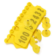Controlling livestock pests means greater profits from your animals. Blue M Z A Sheep Ear Tags Plastic Livestock Animal Ear Tags For Goat Pig Cattle Cow With Number 001 100