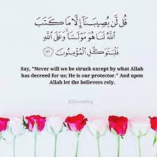 geordi the pug blog islamic love quotes arabic quotes holy quran