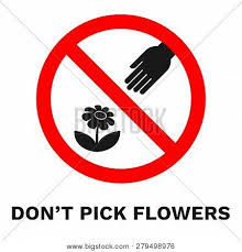 Being a little mindful and thoughtful and cause extreme happiness to whoever. Do Not Pick Flowers Vector Photo Free Trial Bigstock