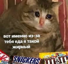 pin na doske memesy