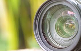 MongoDB Earnings Report