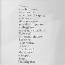 Secondo loro, infatti, vivere appieno comporta per forza degli stravolgimenti, dei salti verso l'ignoti e dire di sì a nuove sfide. Cosi Tanti Libri Cosi Poco Tempo