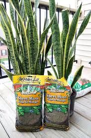 Find bagged and bulk topsoil for your garden or lawn project. House Tweaking
